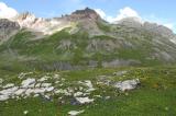 .4c-1-Kurzgrasiger-steinig-felsiger-alpiner-Rasen-Knappenboeden-Madau-ca-2000-m-Lechtaler-Alpen.jpg