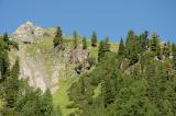 .3-1-lichter-subalpiner-Wald-Madau-ca-1700m-Lechtaler-Alpen.jpg