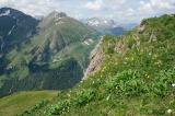 3b-1-Kurzgrasige-alpine-Rasen-Gipfel-Hahnleskopf-2210-m-Lechtaler-Alpen-Siegwurz-Kaisers.jpg