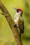 _Y3A3561-Verbessert-RR-PS.jpg