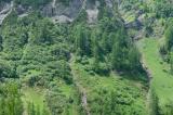 2-2-subalpiner-Wald-Kaisertal-ca-1600m-Lechtaler-Alpen.jpg