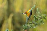 _Y3A2758-Verbessert-RR-PS.jpg